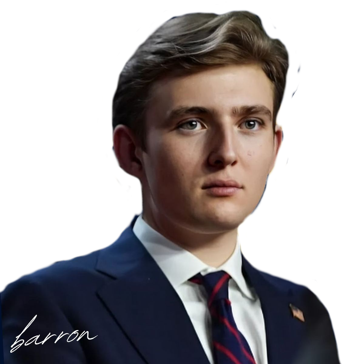 Barron Meme Hero